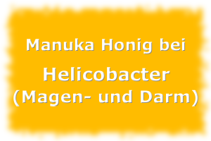 Manuka Honig gegen Helicobacter Pylori